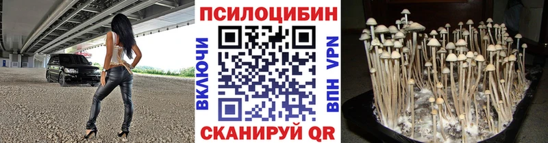 Купить закладки  Рыбинск  Галлюциногенные грибы прущие грибы 